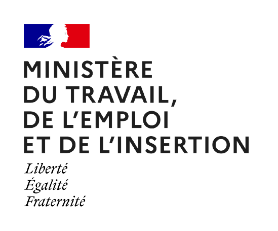 logo ministere du travail du plein emploi et de l'insertion