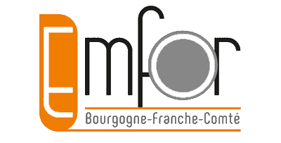 logo emfor